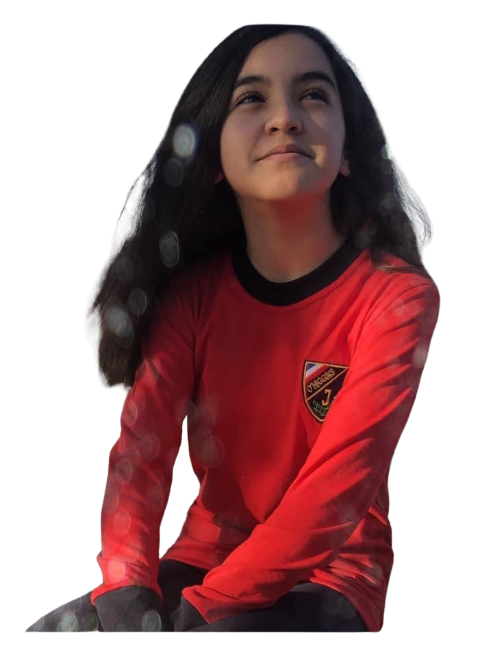 POLERA ALGODON ESCOLAR MANGA LARGA INSTITUTO OHIGGINS