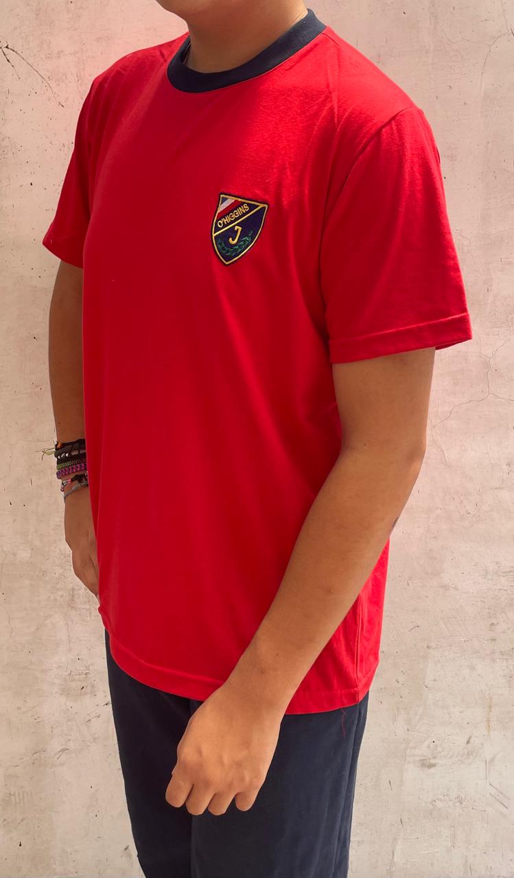 POLERA ESCOLAR ALGODON COLEGIO INSTITUTO OHIGGINS