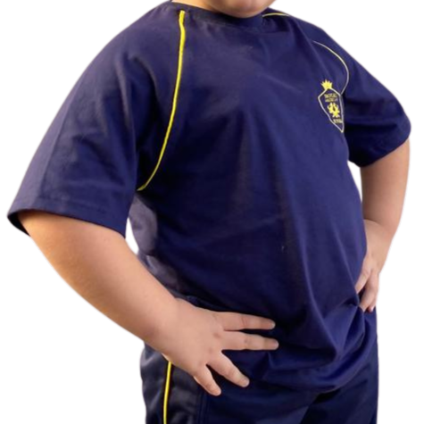 POLERA ESCOLAR DE ALGODON COLEGIO ROYAL AMERICAN SCHOOL