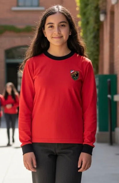 POLERA ALGODON ESCOLAR MANGA LARGA INSTITUTO OHIGGINS
