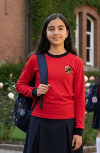 POLERA ALGODON ESCOLAR MANGA LARGA INSTITUTO OHIGGINS