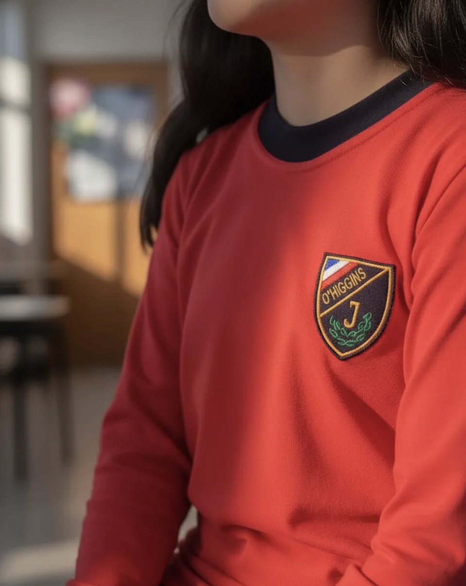 POLERA ALGODON ESCOLAR MANGA LARGA INSTITUTO OHIGGINS