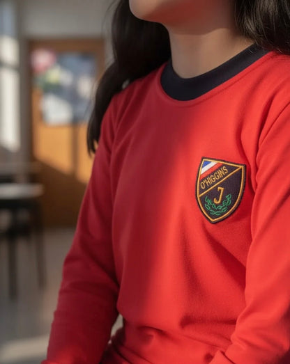 POLERA ALGODON ESCOLAR MANGA LARGA INSTITUTO OHIGGINS