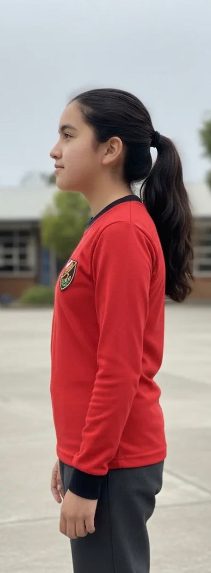 POLERA ALGODON ESCOLAR MANGA LARGA INSTITUTO OHIGGINS