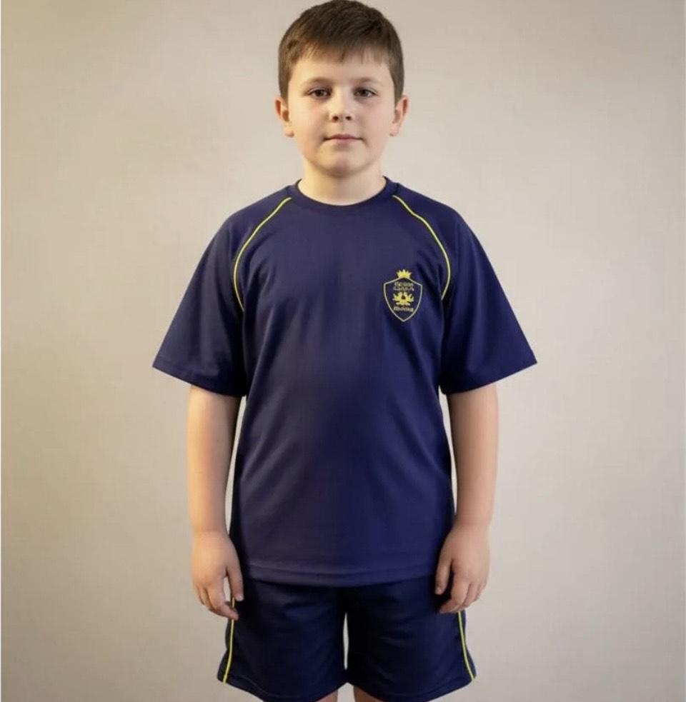 POLERA ESCOLAR DE ALGODON COLEGIO ROYAL AMERICAN SCHOOL