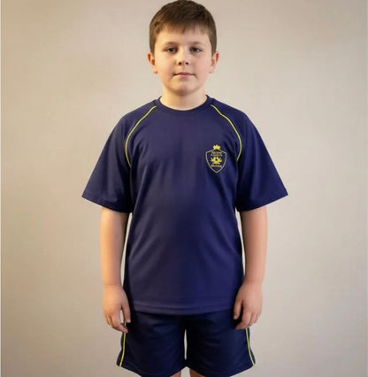POLERA ESCOLAR DE ALGODON COLEGIO ROYAL AMERICAN SCHOOL
