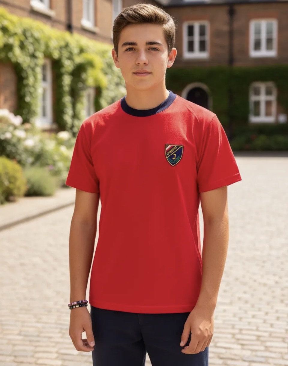 POLERA ESCOLAR ALGODON COLEGIO INSTITUTO OHIGGINS