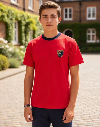 POLERA ESCOLAR ALGODON COLEGIO INSTITUTO OHIGGINS