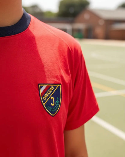 POLERA ESCOLAR ALGODON COLEGIO INSTITUTO OHIGGINS