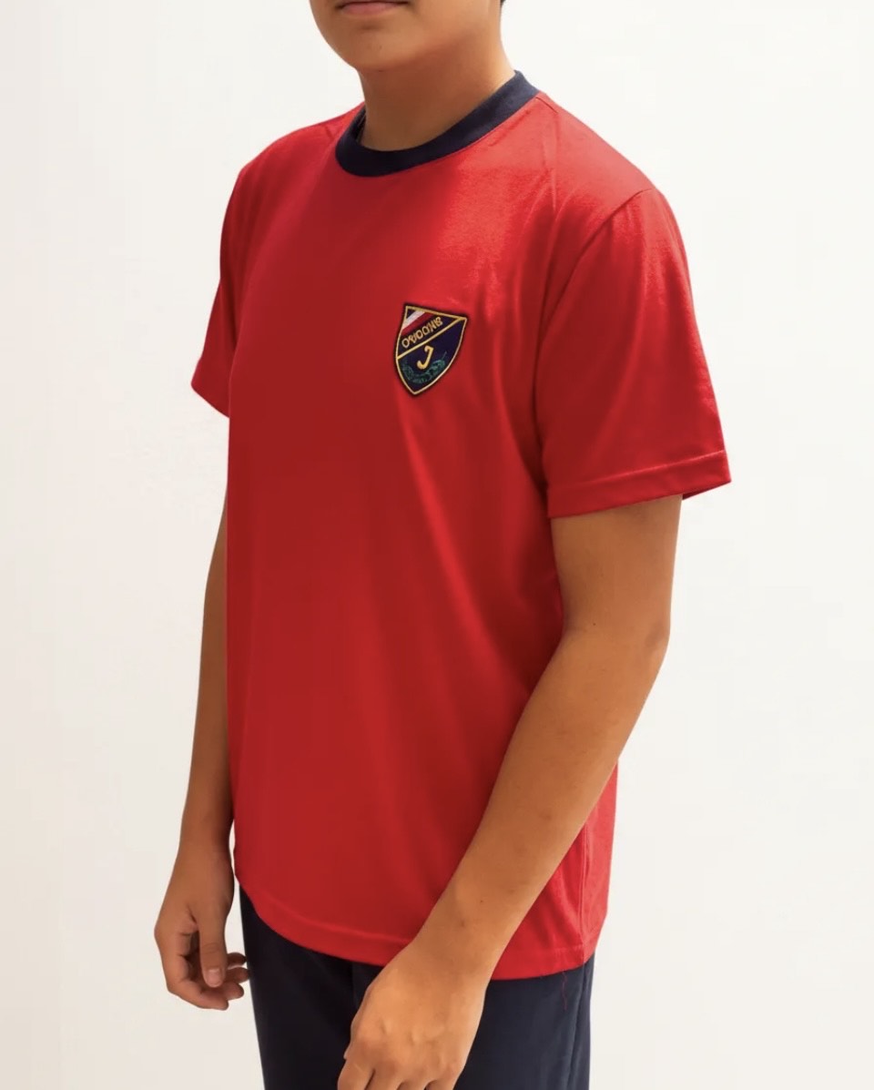 POLERA ESCOLAR ALGODON COLEGIO INSTITUTO OHIGGINS