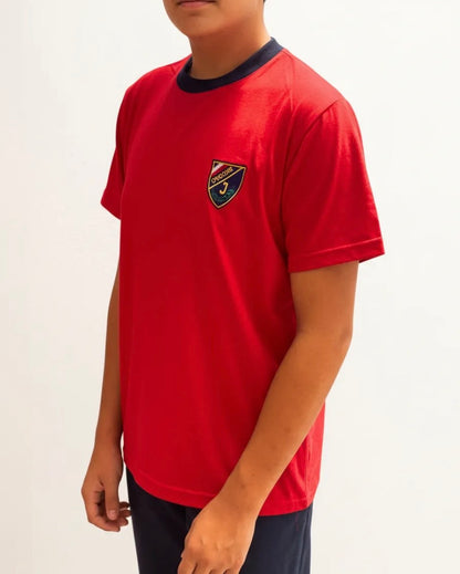 POLERA ESCOLAR ALGODON COLEGIO INSTITUTO OHIGGINS