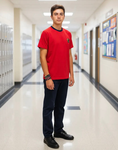 POLERA ESCOLAR ALGODON COLEGIO INSTITUTO OHIGGINS