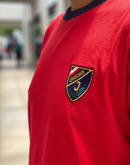 POLERA ESCOLAR ALGODON COLEGIO INSTITUTO OHIGGINS