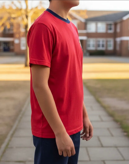 POLERA ESCOLAR ALGODON COLEGIO INSTITUTO OHIGGINS