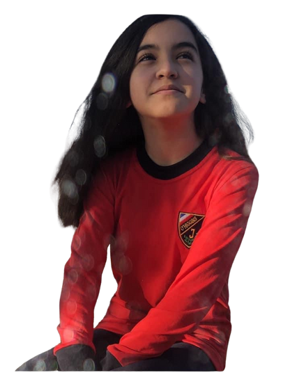 POLERA ALGODON ESCOLAR MANGA LARGA INSTITUTO OHIGGINS