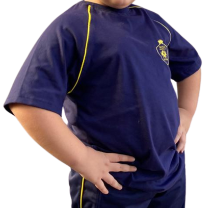 POLERA ESCOLAR DE ALGODON COLEGIO ROYAL AMERICAN SCHOOL